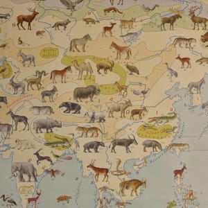 Carte scolaire vintage ASIEN ASIA « WILDLIFE » Carte éducative primaire originale