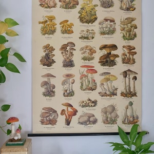 Vintage PILZ Schulwandkarte Lehrtafel Röhr Verlag