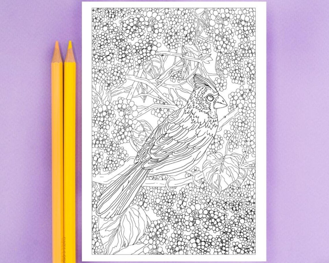 Bird Coloring Page Coloring Page for Kids and Adults - Etsy India