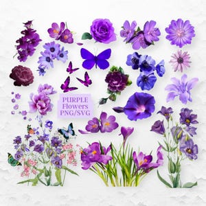 Lila Blume Clip Art, violette PNGs, violette Blume, Blumen Clip Art, digitaler Download, transparente Hintergründe, kommerzielle Nutzung Ok