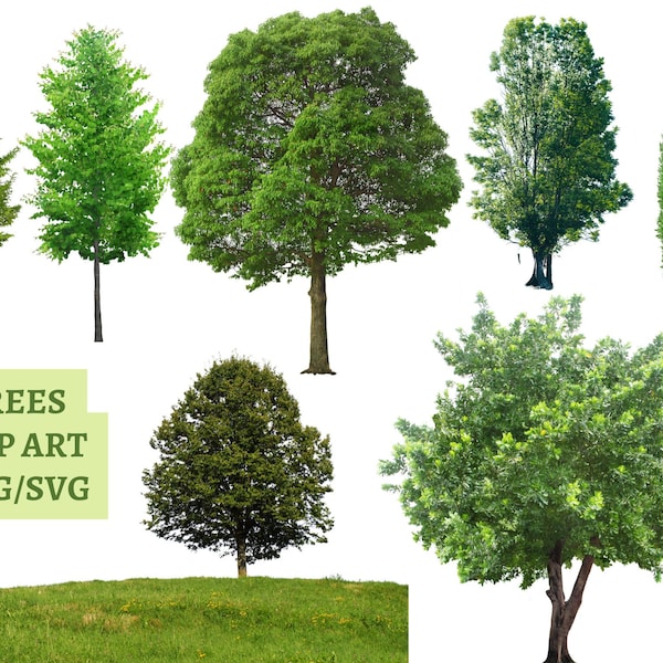 Green Trees Pack PNG/Beautiful Green Trees PNG Digital Download Only/Transparent Background Clip Art Sublimation Images