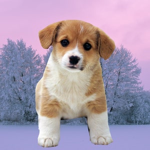 Dogs and Puppies PNGS/DOG Digital Downloads /Puppy Clip Art Sublimation image 3