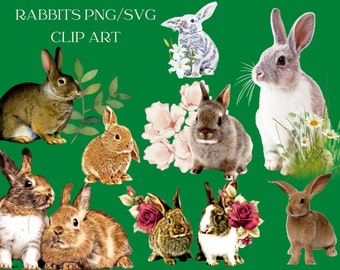 Watercolor Rabbit Clip Art PNG/SVG Pack/Bunnies Digital Download Rabbits Flowers Sublimation Images