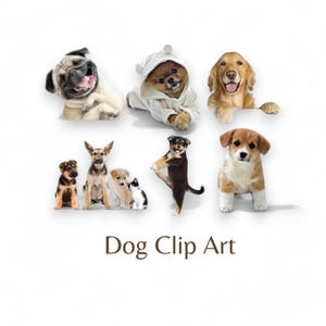 Illustraties hond, illustraties stier hond, hond illustraties, chihuahua SVG, schattige hond, transparante png, commercieel gebruik OK!