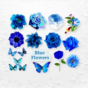 Clipart di fiori blu/PNG di rose blu, bellissimi fiori blu solo per download digitale/sfondo trasparente, uso commerciale ok!