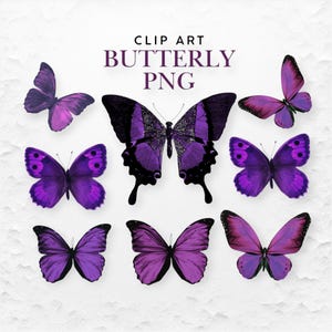 Purple Butterfly Clip Art: PNG, SVG, Transparent Backgrounds (Digital Download)