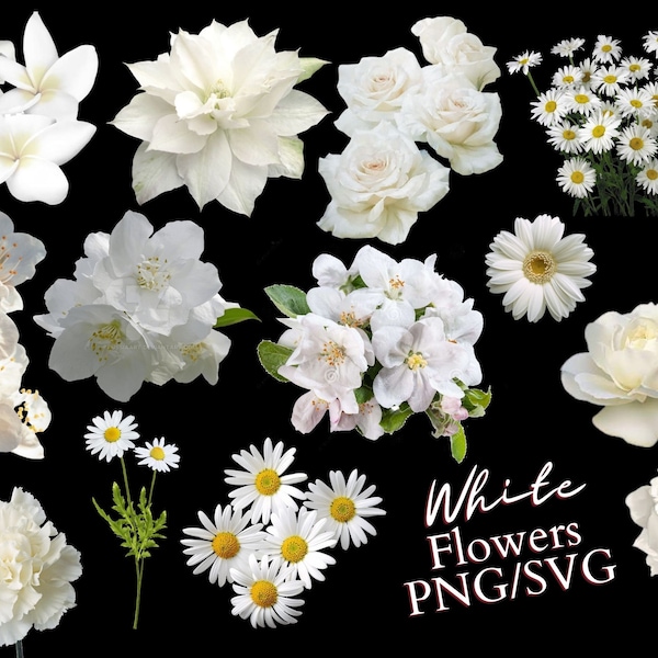 White Flowers Pack PNG/SVG/ Digital Download Only/Transparent Background Clip Art Sublimation Images/Wedding Flowers PNG