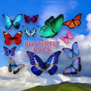 11 prachtige illustraties vlinders, vlinder png-bestanden, alleen digitale download/transparante achtergrond, licentievrij, ideaal voor projecten!
