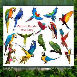 14 Clip Art de Papagaio, Clip Art Tropical, Papagaio PNG, Arte de Pássaro Tropical, Download Digital, Uso Comercial Ok!