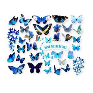 Pacchetto PNG farfalla blu. Ampia raccolta di clip art e grafica digitale per artigianato, progetti fai da te, clip art a tema primaverile