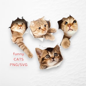 Gato SVG - Clip Art de gatinho 3D, Gato engraçado PNG para projetos DIY, uso comercial Ok!