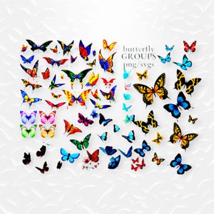 Colorful Butterfly Clip Art: PNG, SVG Files (Digital Download)