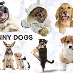 Dogs and Puppies PNGS/DOG Digital Downloads /Puppy Clip Art Sublimation image 1