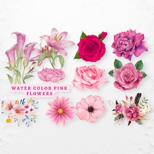 Illustraties roze bloem, roze roos png, aquarel roze bloemen, roze bloemen, digitale downloads, commercieel gebruik OK