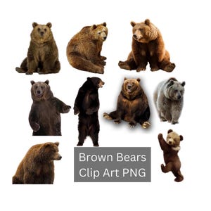 Images clipart ours brun, clipart grizzly, Circulaires du camp, amoureux de la nature, amoureux des animaux, écologistes, région sauvage, téléchargements numériques