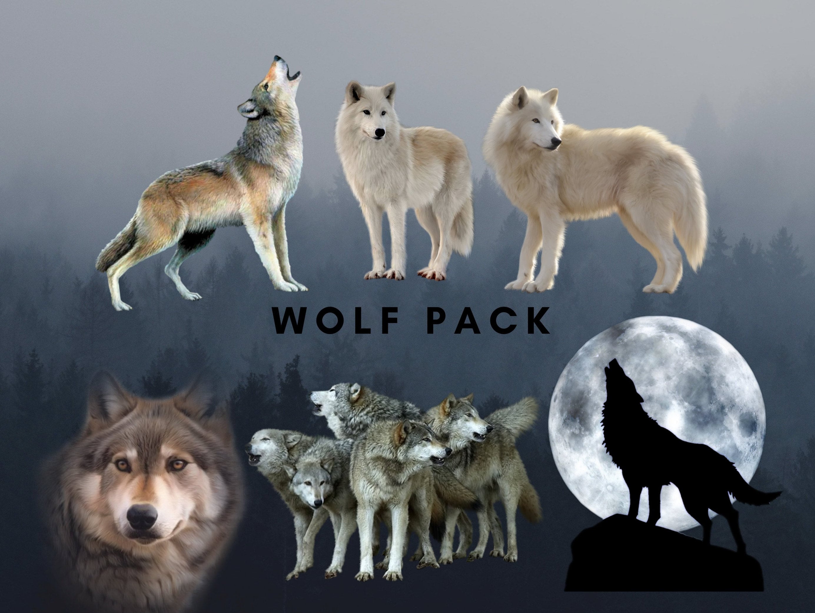Wolf Pack PNG Clip Art Wolves Sublimation Design Wolf Digital Etsy