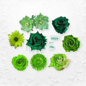 Green Flower Clipart PNG/SVG Files, Beautiful Green Rose SVG, Digital Download Only/Transparent Background, Sublimation Images