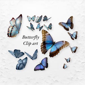 Pacote de Clip Art de Borboleta Azul/ Lindas Borboletas Azuis PNGS/ Somente Download Digital/ Sublimação de Fundos Transparentes/ Uso Comercial Ok