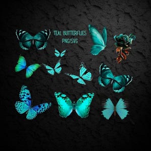 Imágenes prediseñadas de mariposa azul verdoso, hermosas mariposas azules, archivos PNG/SVG, descarga digital únicamente, fondos transparentes, imágenes de sublimación