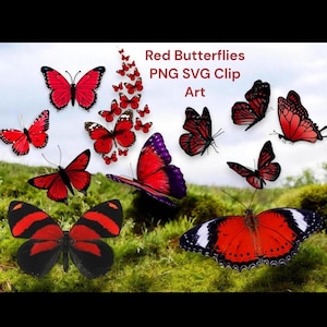 Red Butterfly Clip Art/ Beautiful Red Butterflies PNG/SVGs/ Digital Downloads/Transparent Background/ Sublimation Images