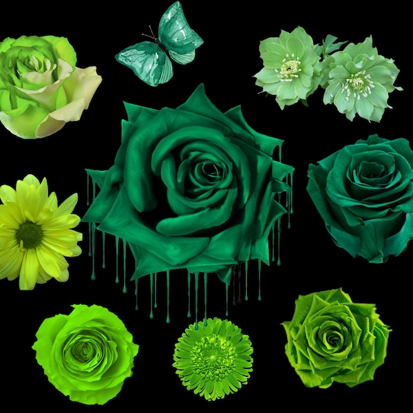 Green Flower Pack PNG/SVG Beautiful Green Rose PNG Digital Download Only/Transparent Background Clip Art Sublimation Images