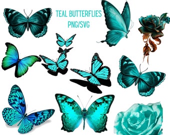 Teal Butterfly Pack PNG/SVG Beautiful Teal Butterflies PNGS Digital Download Only/Transparent Background Clip Art Sublimation Images