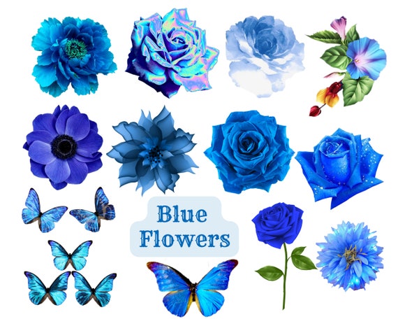 Paquete de flores azules PNG / Hermosa flor azul PNG Descarga - Etsy España