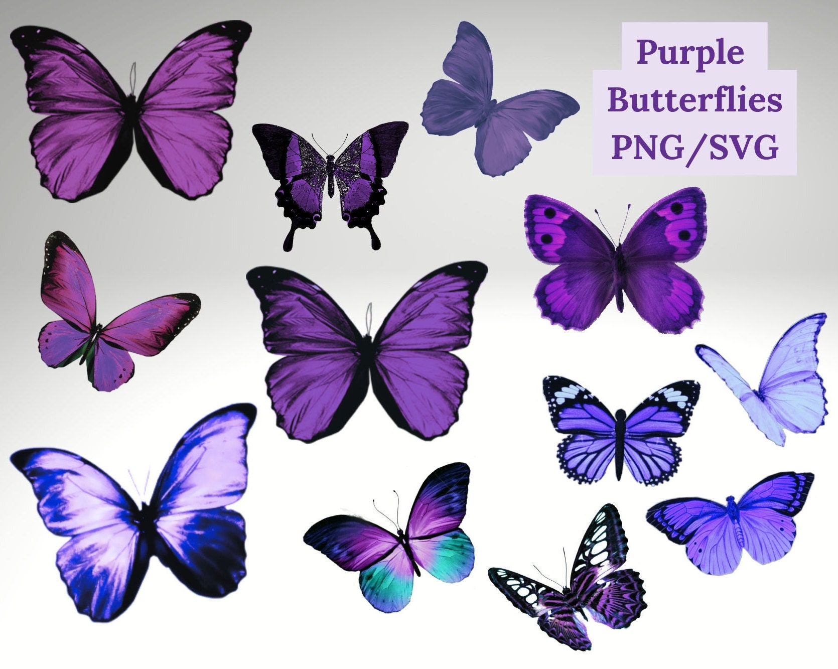 Purple Butterfly PNG/ SVG Beautiful Purple Butterflies Digital - Etsy