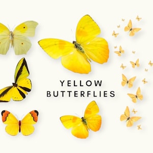 Yellow Butterfly Pack PNG, gele vlinder-illustraties voor Crafts & Designs, graphics instant download, schattige vlinderillustraties