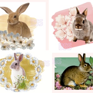 Easter Bunny Designs PNG/SVG Pack/Bunnies Digital Download Rabbits Flowers Sublimation Images/Easter Rabbits