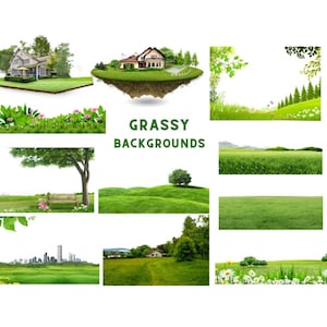 Grassy Meadow Clip Art: Wild Grass PNG, Summer Field (Digital Download)