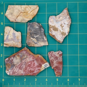 Cabbing Slabs - Ohio Flint Slab Pack #1 - varying patterns, colors, shapes, sizes and thickness