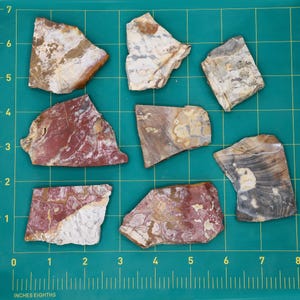Cabbing Slabs - Ohio Flint Slab Pack #4 - varying patterns, colors, shapes, sizes and thickness