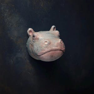 Pappmaché Nilpferd, Kopf, Tierkopf, Wand-Skulptur