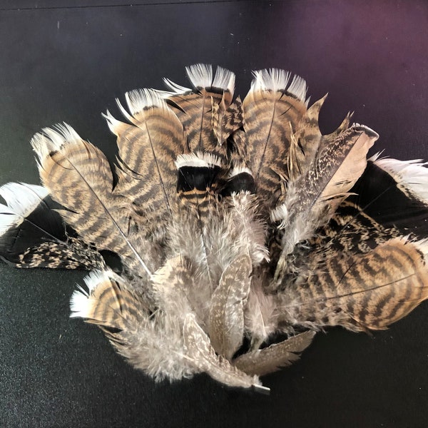 Heritage Breed Turkey Feathers