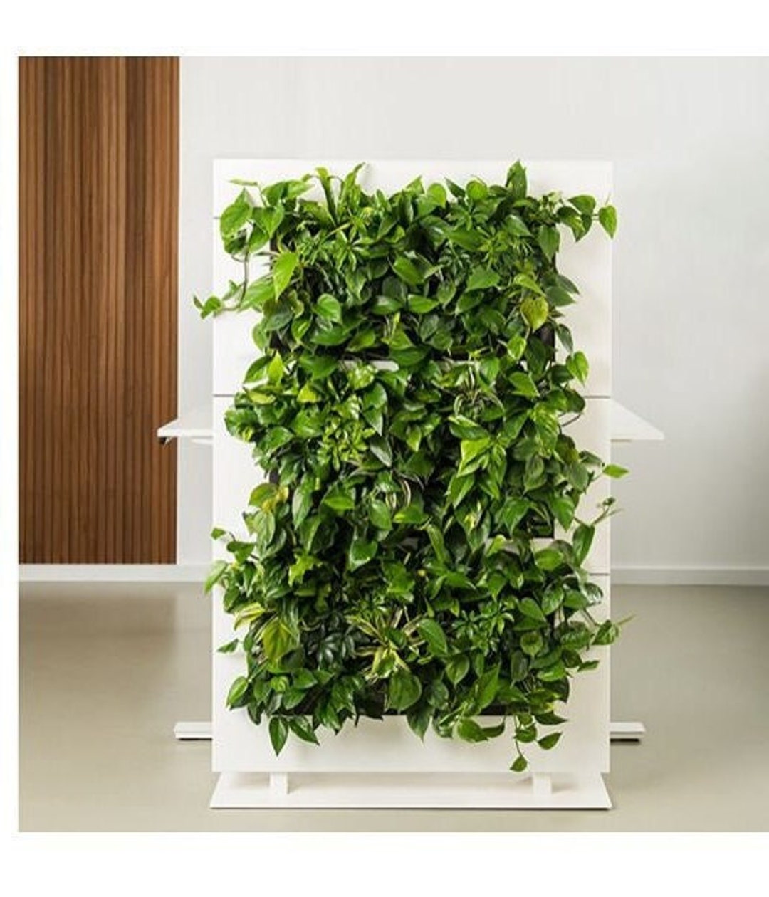 Livedivider PLUS 3 Room Divider White Etsy