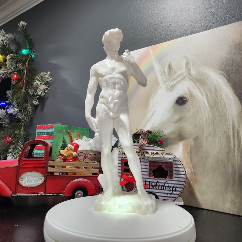 EROTIC David Statue With Large Erection MATURE Etsy