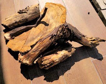 Fragmentos de raíz de secuoyadendro gigante, material para tallar madera de mamut