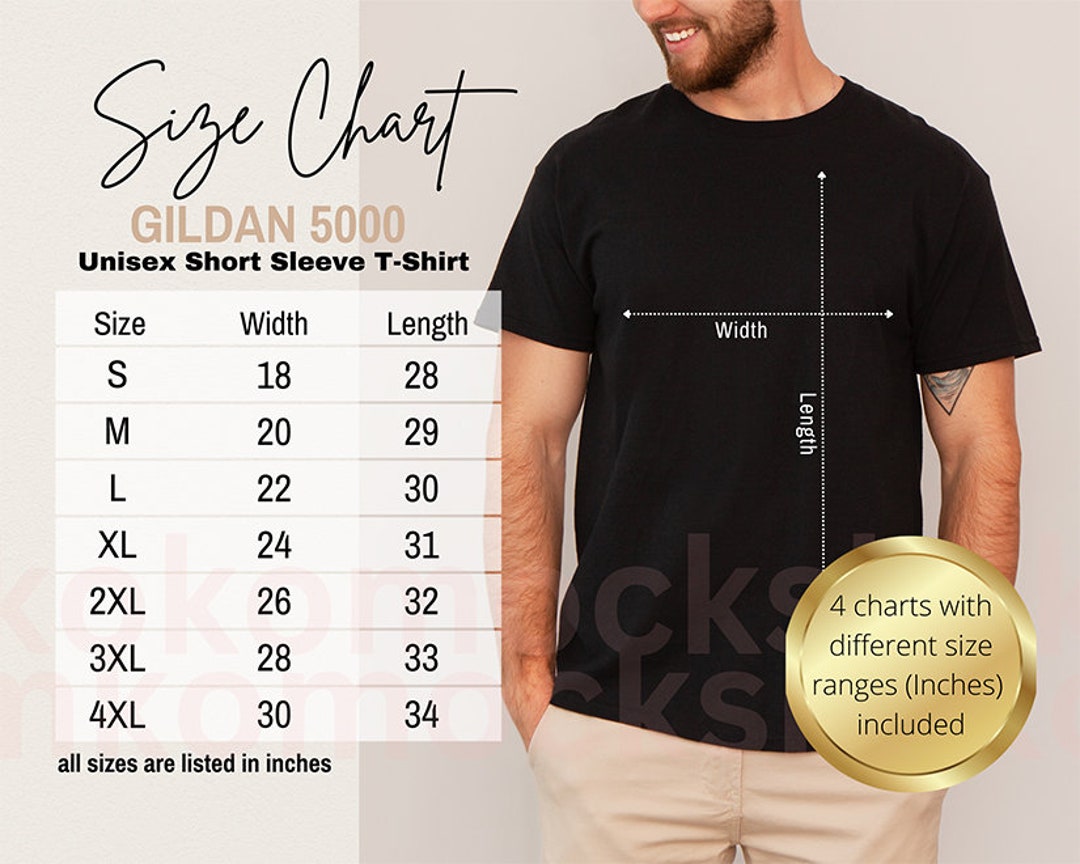 Gildan 5000 Size Chart Male Model Sizing Chart Mockup T-shirt Size ...