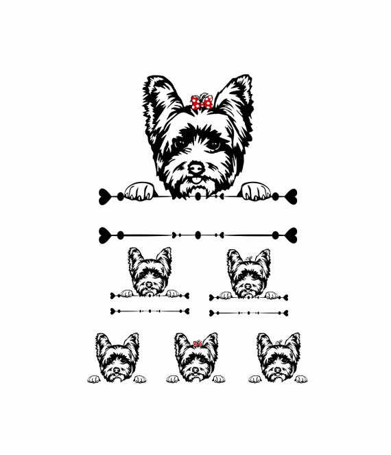 Bundle Yorkshire Terrier Svg Design Yorkie Top Knot Svg Etsy