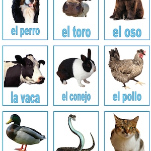 Tarjetas didácticas de animales en español imprimibles