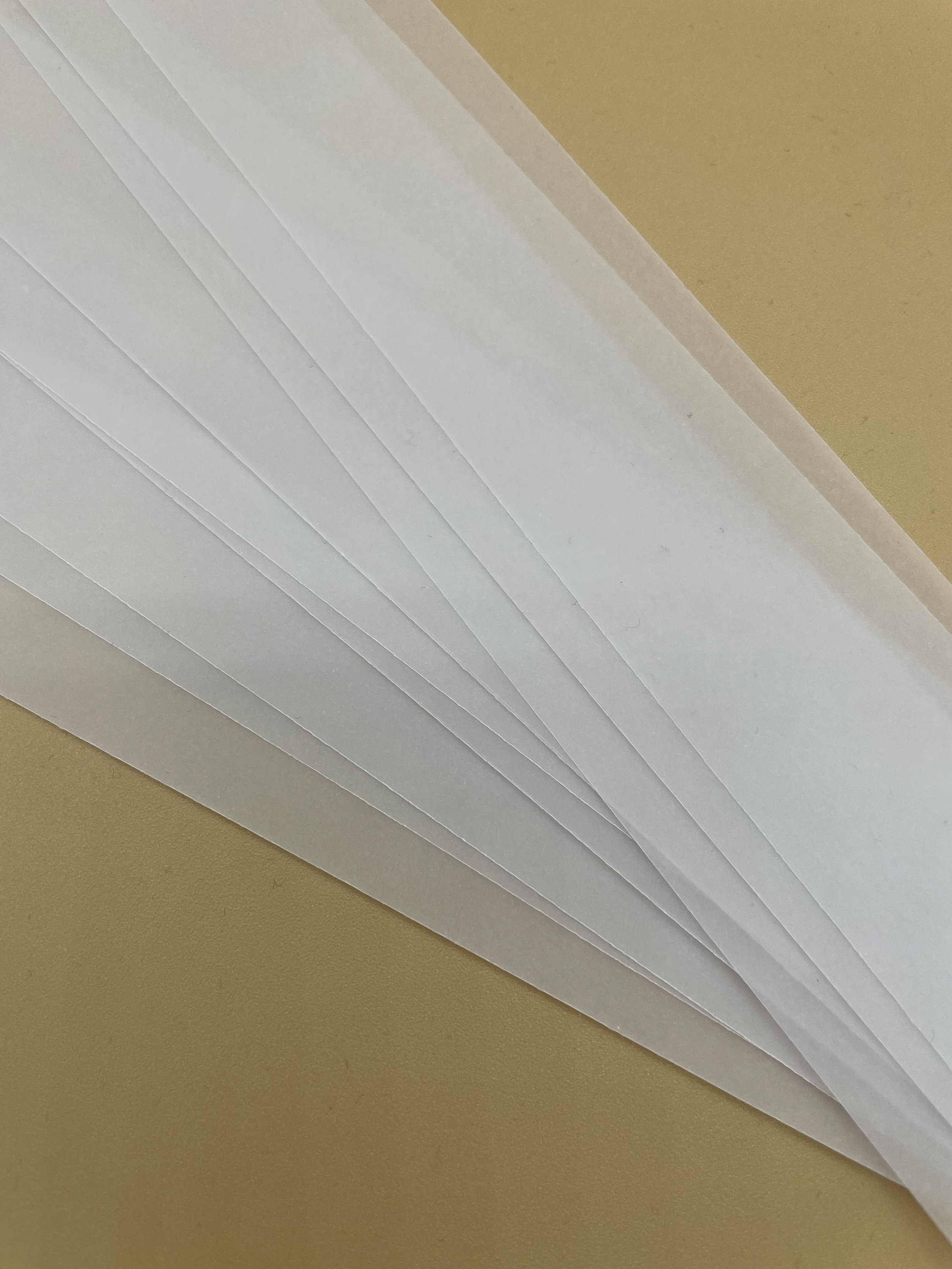 Flat A5 Invite Vellum Belly Bands Vellum Wraps A5 Wedding Etsy UK
