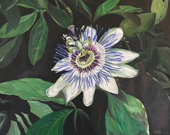 Passion Flower