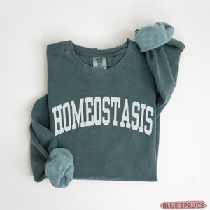 K&ouml;nnte beinhalten: Ein blaugr&uuml;ner Pullover mit dem Wort "Hom&ouml;ostase" in Wei&szlig; auf der Vorderseite. Der Pullover ist gefaltet und die &Auml;rmel sind hochgekrempelt.
