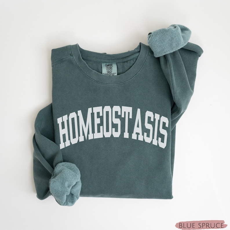 K&ouml;nnte beinhalten: Ein blaugr&uuml;ner Pullover mit dem Wort "Hom&ouml;ostase" in Wei&szlig; auf der Vorderseite. Der Pullover ist gefaltet und die &Auml;rmel sind hochgekrempelt.
