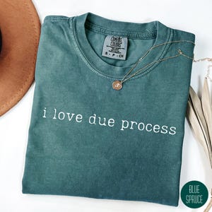 I love due process Shirt, Pro Immigration Tee, Anti Trump Tshirt, Lawyer Gift, Lawyer Tshirt