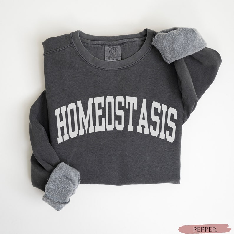 K&ouml;nnte beinhalten: Ein dunkelgrauer Pullover mit dem Wort "HOMEOSTASIS" in Wei&szlig; auf der Vorderseite. Der Pullover ist aus einem weichen, bequemen Material gefertigt und hat eine lockere Passform.