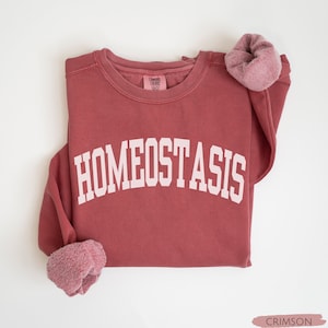 Biology Sweatshirt, Homeostasis Crewneck, Biology Teacher Gift, Science Teacher Shirt, Varsity Aesthetic, Neuro Nerd, Physiology