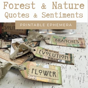Citações e sentimentos de natureza, floresta, bosque, floresta encantada para revistas ou cartões de arte - download digital em PDF para impressão