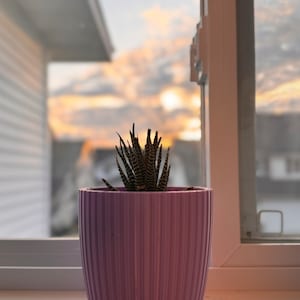 Jardinera púrpura, Maceta única, Jardinera impresa en 3D, Jardinera con drenaje, Decoración mínima, Maceta pequeña mediana grande de 3 a 7 pulgadas